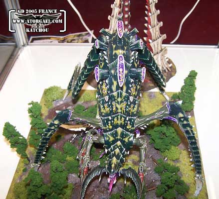 gd_fr_05-katch-38