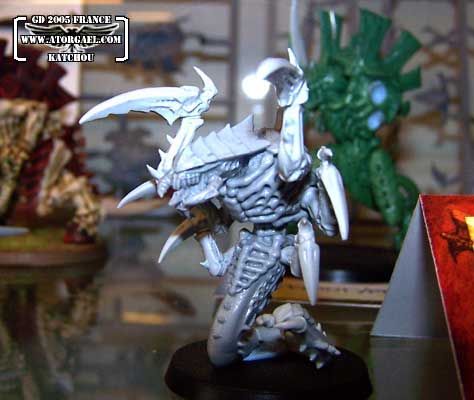 gd_fr_05-katch-46