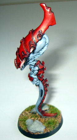 Zoanthrope