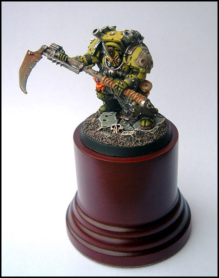 Typhus