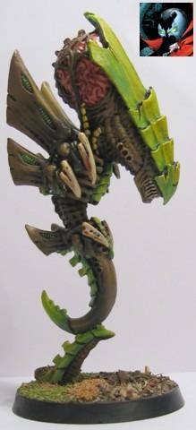 Zoanthrope